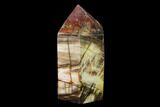 Colorful, Polished Petrified Wood Obelisk - Triassic #137414-1